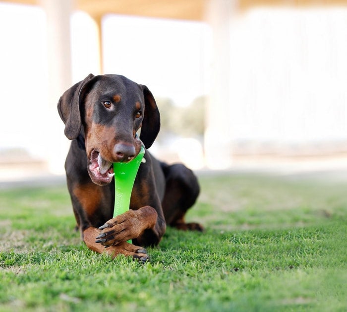 Outward hound urban stick shop